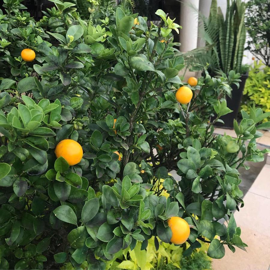 La Dolce Vita Umhlanga Guesthouse Durban Kültér fotó